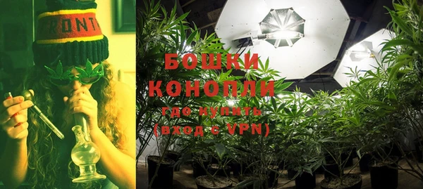 ешки Медногорск