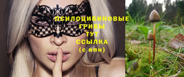 МДПВ Медвежьегорск