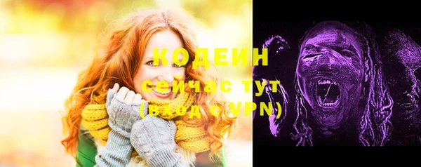 ешки Медногорск