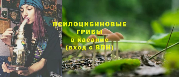 бутират Мегион