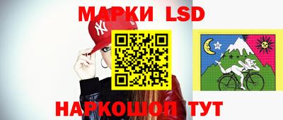 шишки Кимры