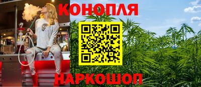 наркотики Кингисепп