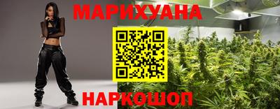 шишки Кимры