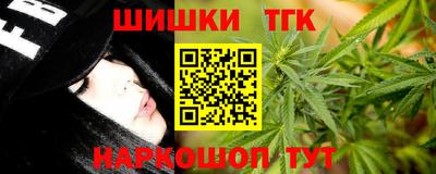 шишки Кимры