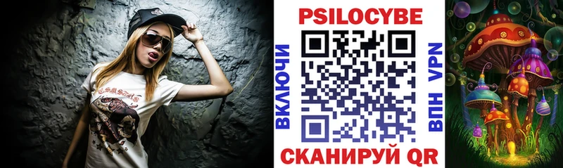сколько стоит  Новокузнецк  Галлюциногенные грибы Psilocybine cubensis 