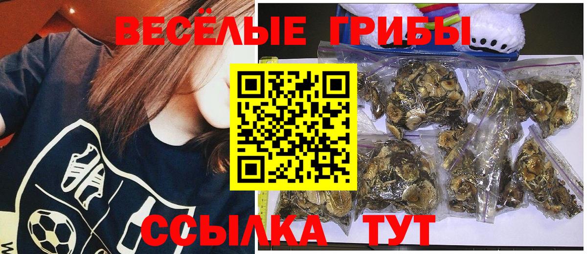 купить наркоту  Псилоцибиновые грибы ЛСД  Вход с VPN  Новокузнецк 
