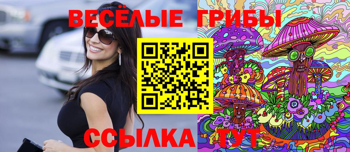 Псилоцибиновые грибы Psilocybe Новокузнецк